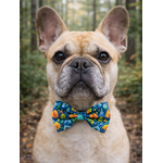 Noeud papillon stylidog