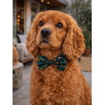 Noeud papillon stylidog