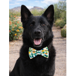 Noeud papillon stylidog