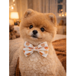 Noeud papillon stylidog