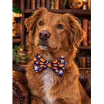 Noeud papillon stylidog