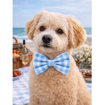 Noeud papillon stylidog