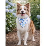 bandana chien stylidog