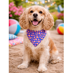 bandana chien stylidog