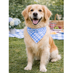 bandana chien stylidog