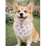 bandana chien stylidog