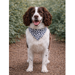 bandana chien stylidog