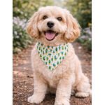 bandana chien stylidog