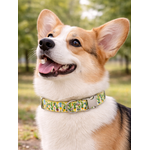 collier pour chien original STYLIDOG