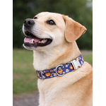 collier pour chien original STYLIDOG