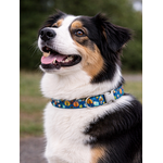 collier pour chien original STYLIDOG