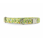 collier pour chien original STYLIDOG