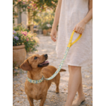 Laisse pour chien stylidog (2)