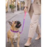 Laisse pour chien stylidog (7)