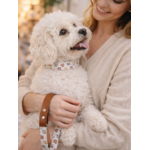 Laisse pour chien stylidog (6)