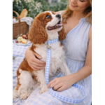 Laisse pour chien stylidog (4)