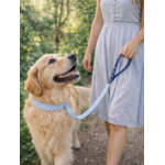 Laisse pour chien stylidog (5)