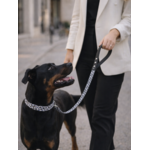 Laisse pour chien stylidog (13)