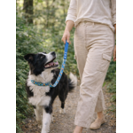 Laisse pour chien stylidog (11)