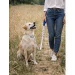 Laisse pour chien stylidog (10)