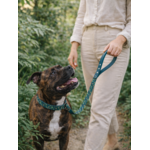 Laisse pour chien stylidog (9)