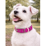 Collier biothane Etsy stylidog_20260331_170446_0055