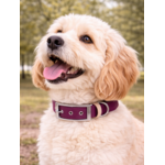 Collier biothane Etsy stylidog_20260331_170447_0058