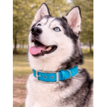Collier biothane Etsy stylidog_20260331_170447_0059