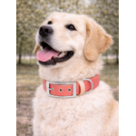 Collier biothane Etsy stylidog_20260331_170445_0038