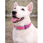 Collier biothane Etsy stylidog_20260331_170445_0037