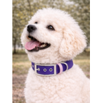 Collier biothane Etsy stylidog_20260331_170445_0044