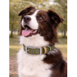 Collier biothane Etsy stylidog_20260331_170445_0043