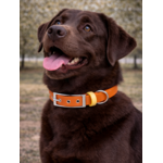 Collier biothane Etsy stylidog_20260331_170445_0041