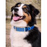 Collier biothane Etsy stylidog_20260331_170445_0042