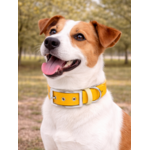 Collier biothane Etsy stylidog_20260331_170446_0047