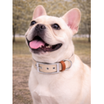 Collier biothane Etsy stylidog_20260331_170447_0061