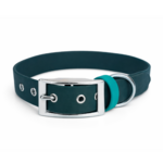 collier biothane pour chien Stylidog _20260331_151801_0006