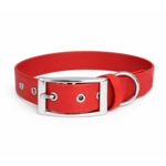 collier biothane pour chien Stylidog _20260331_151801_0018