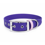 collier biothane pour chien Stylidog _20260331_151801_0017