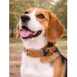 Collier biothane Etsy stylidog_20260331_170446_0057