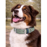 Collier biothane Etsy stylidog_20260331_170445_0040