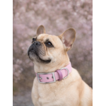 Collier biothane Etsy stylidog_20260331_170446_0053