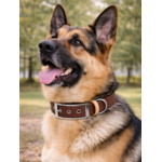 Collier biothane Etsy stylidog_20260331_170446_0048