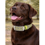 Collier biothane Etsy stylidog_20260331_170446_0050