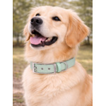Collier biothane Etsy stylidog_20260331_170446_0049