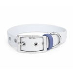 collier biothane pour chien Stylidog _20260331_151802_0036