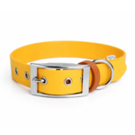 collier biothane pour chien Stylidog _20260331_151802_0035
