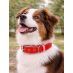 Collier biothane Etsy stylidog_20260331_170446_0054