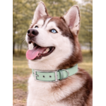 Collier biothane Etsy stylidog_20260331_170446_0051