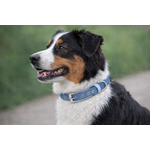 collier espadon stylidog